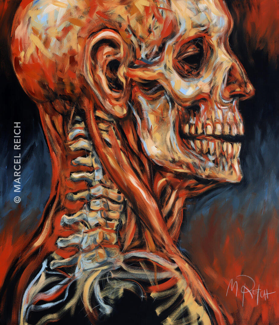 Large-scale oil profile portrait of a skinless, muscular head with visible bone structure, conveying vulnerability.