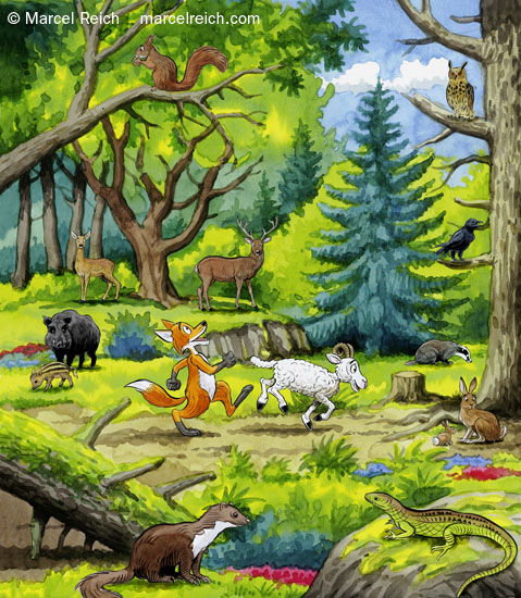 Max & Schnuff. Ein Spaziergang im Wald. Illustration für die Kinderbeilage zur Image-Broschüre 